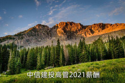  中信建投高管2021薪酬