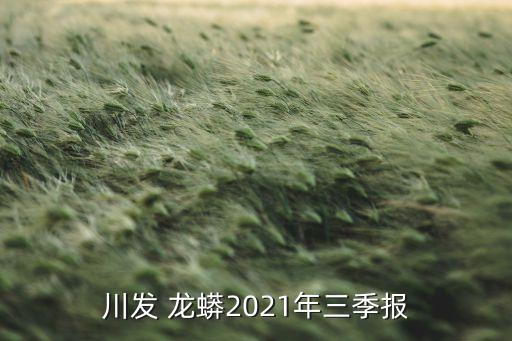 川發(fā) 龍蟒2021年三季報(bào)