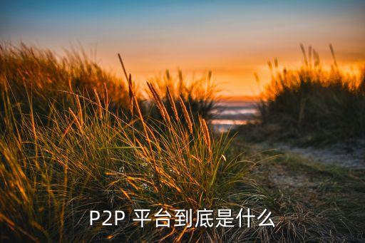 P2P 平臺(tái)到底是什么