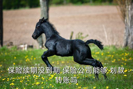 保險續(xù)期沒到期 保險公司能夠 劃款轉(zhuǎn)賬嗎