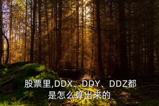  股票里,DDX、DDY、DDZ都是怎么算出來(lái)的