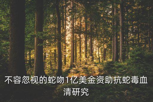 拉丁美洲基金,貝萊德拉丁美洲基金