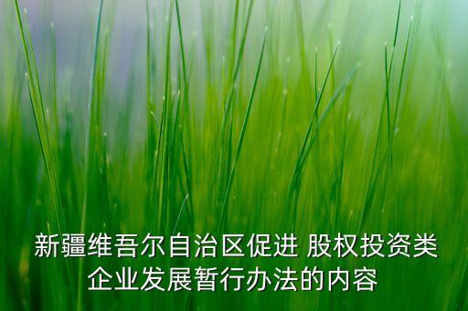 新疆成農(nóng)遠大股權投資有限公司