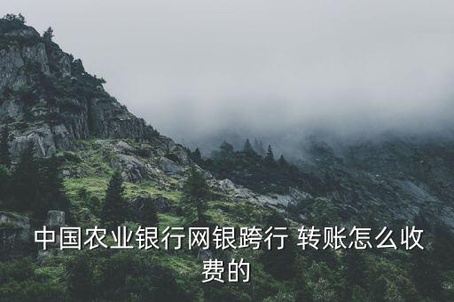  中國農(nóng)業(yè)銀行網(wǎng)銀跨行 轉(zhuǎn)賬怎么收費(fèi)的