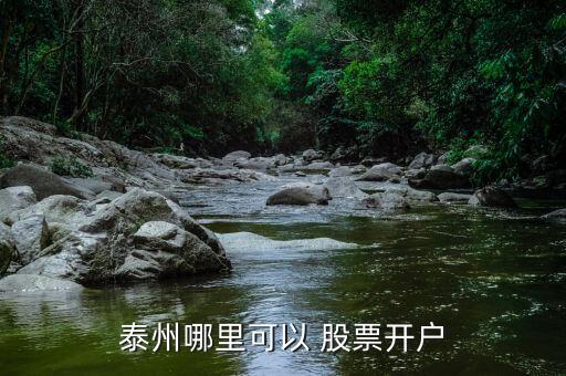 泰州哪里可以 股票開戶