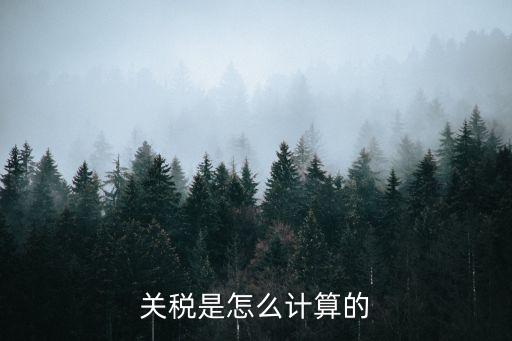 關(guān)稅是怎么計算的