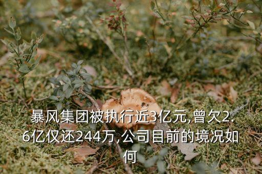  暴風集團被執(zhí)行近3億元,曾欠2.6億僅還244萬,公司目前的境況如何