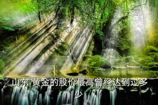  山東 黃金的股價最高曾經(jīng)達到過多少