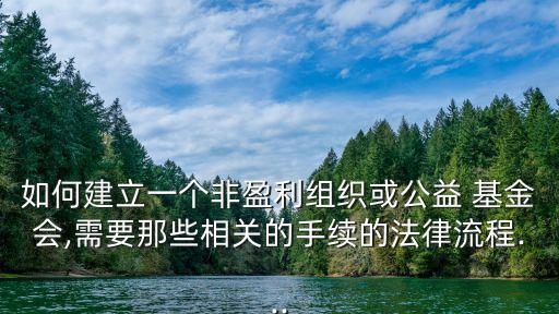 如何建立一個非盈利組織或公益 基金會,需要那些相關的手續(xù)的法律流程...