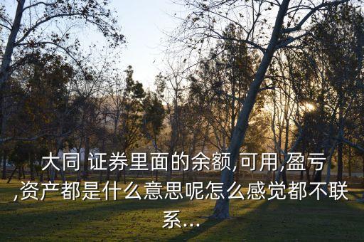  大同 證券里面的余額,可用,盈虧,資產都是什么意思呢怎么感覺都不聯(lián)系...