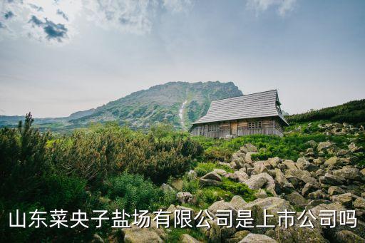 山東菜央子鹽場有限公司是上市公司嗎