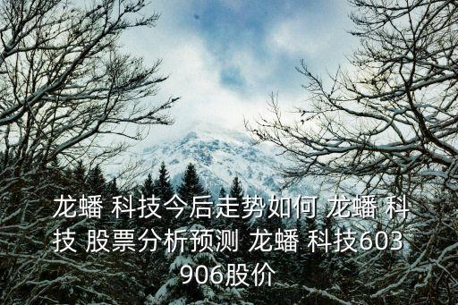  龍蟠 科技今后走勢如何 龍蟠 科技 股票分析預測 龍蟠 科技603906股價