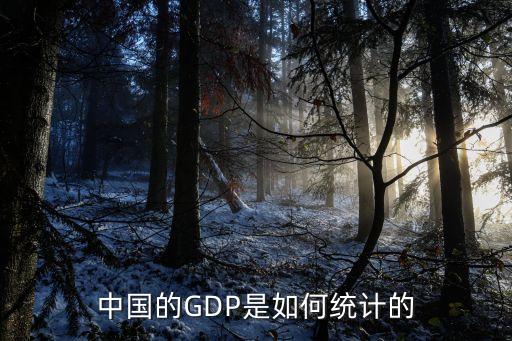 中國(guó)gdp核算,中國(guó)GDP核算以支出法GDP調(diào)整生產(chǎn)法和收入法