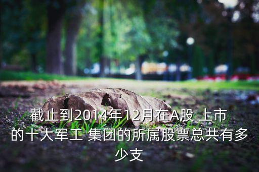 截止到2014年12月在A股 上市的十大軍工 集團(tuán)的所屬股票總共有多少支