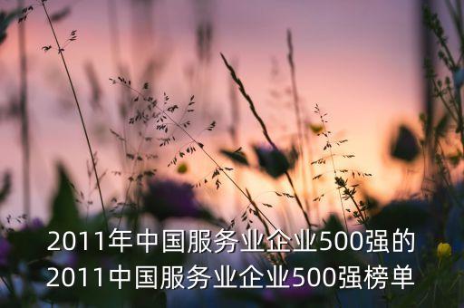 2011年中國(guó)服務(wù)業(yè)企業(yè)500強(qiáng)的2011中國(guó)服務(wù)業(yè)企業(yè)500強(qiáng)榜單