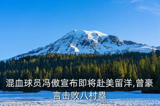 蔡崇信基金會注冊地,浙江省蔡崇信公益基金會