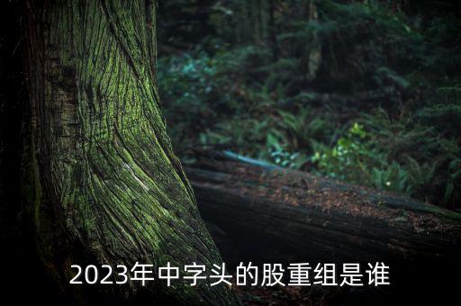 2023年中字頭的股重組是誰