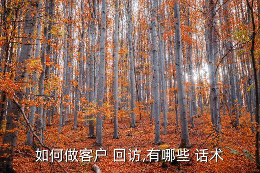 如何做客戶 回訪,有哪些 話術(shù)