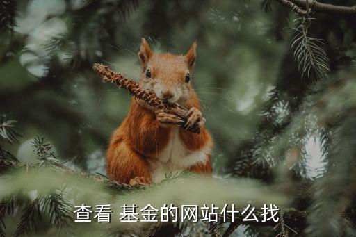 查看 基金的網(wǎng)站什么找