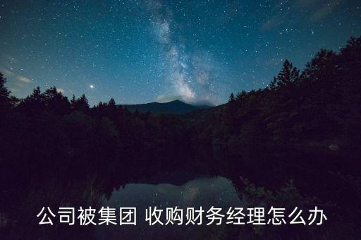  公司被集團 收購財務經(jīng)理怎么辦