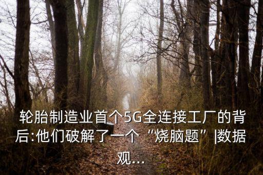  輪胎制造業(yè)首個5G全連接工廠的背后:他們破解了一個“燒腦題”|數(shù)據(jù)觀...