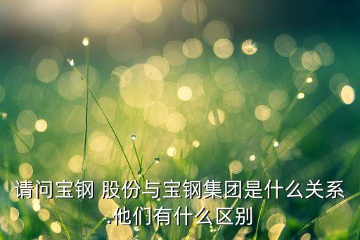 請問寶鋼 股份與寶鋼集團是什么關(guān)系.他們有什么區(qū)別