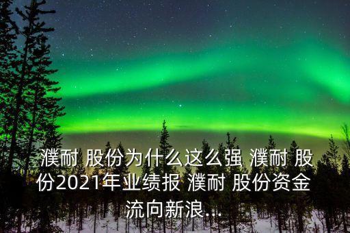  濮耐 股份為什么這么強(qiáng) 濮耐 股份2021年業(yè)績(jī)報(bào) 濮耐 股份資金流向新浪...