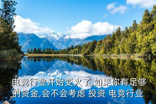  電競行業(yè)開始變火了,如果你有足夠的資金,會不會考慮 投資 電競行業(yè)