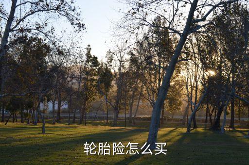  輪胎險(xiǎn)怎么買