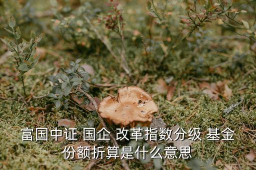 富國中證 國企 改革指數(shù)分級 基金份額折算是什么意思