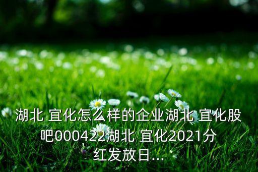 湖北 宜化怎么樣的企業(yè)湖北 宜化股吧000422湖北 宜化2021分紅發(fā)放日...