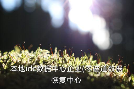 本地idc數(shù)據(jù)中心企業(yè)(零磁道數(shù)據(jù)恢復中心