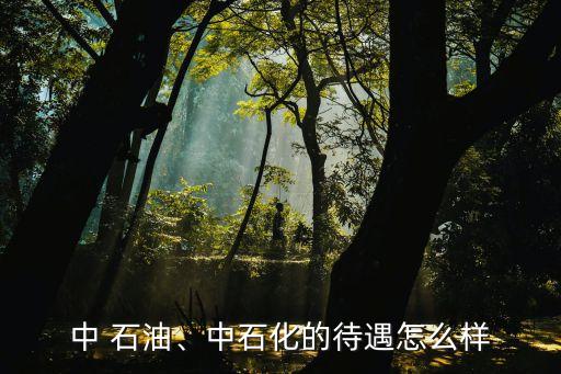 中 石油、中石化的待遇怎么樣