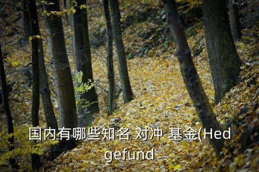 國內(nèi)有哪些知名 對沖 基金(Hedgefund