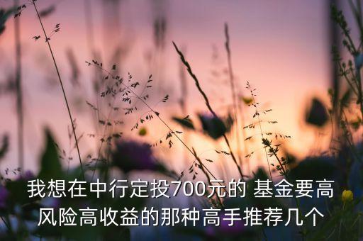 我想在中行定投700元的 基金要高風(fēng)險高收益的那種高手推薦幾個