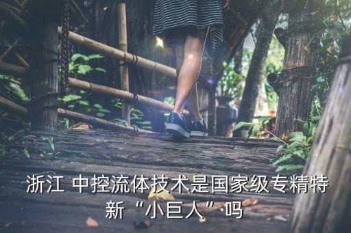 浙江中控集團(tuán)審計報告