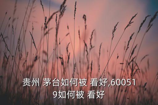 貴州 茅臺(tái)如何被 看好,600519如何被 看好