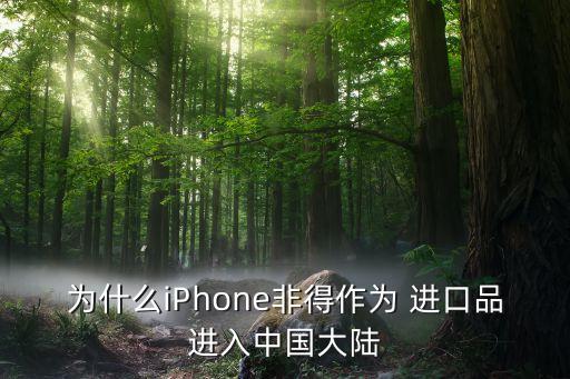 為什么iPhone非得作為 進(jìn)口品進(jìn)入中國(guó)大陸