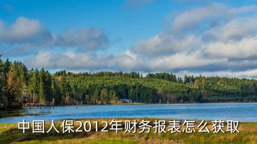 中國人保2012年財務報表怎么獲取