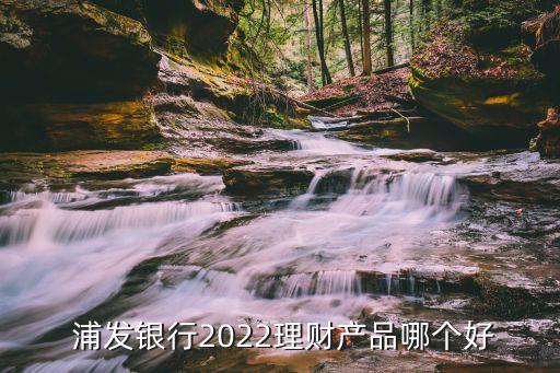  浦發(fā)銀行2022理財(cái)產(chǎn)品哪個(gè)好