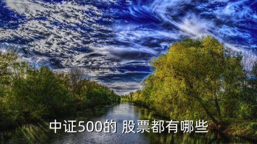 中證500的 股票都有哪些