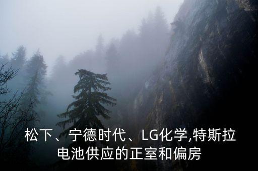  松下、寧德時代、LG化學(xué),特斯拉電池供應(yīng)的正室和偏房