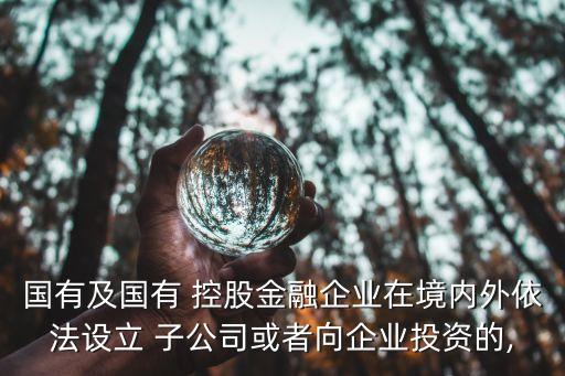 國有及國有 控股金融企業(yè)在境內(nèi)外依法設(shè)立 子公司或者向企業(yè)投資的,