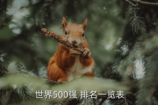  世界500強 排名一覽表