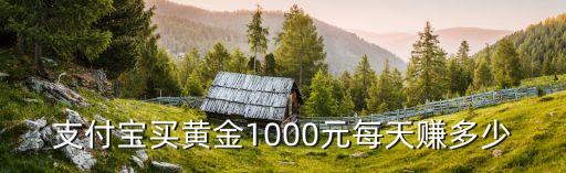 支付寶買黃金1000元每天賺多少