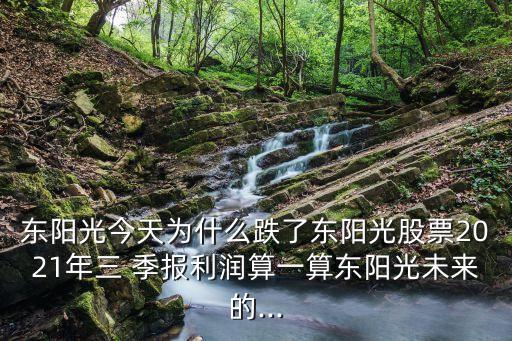 東陽(yáng)光今天為什么跌了東陽(yáng)光股票2021年三 季報(bào)利潤(rùn)算一算東陽(yáng)光未來的...