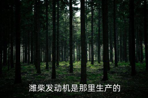 濰柴控股集團(tuán)有限公司地址,山東濰柴控股集團(tuán)有限公司