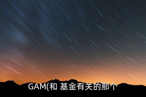 GAM(和 基金有關(guān)的那個(gè)