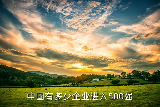 中國(guó)有多少企業(yè)進(jìn)入500強(qiáng)