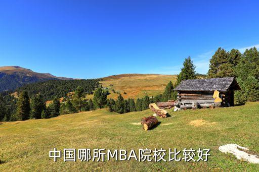 中國(guó)哪所MBA院校比較好